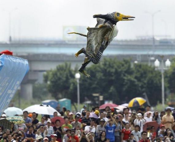 funny-pictures-665