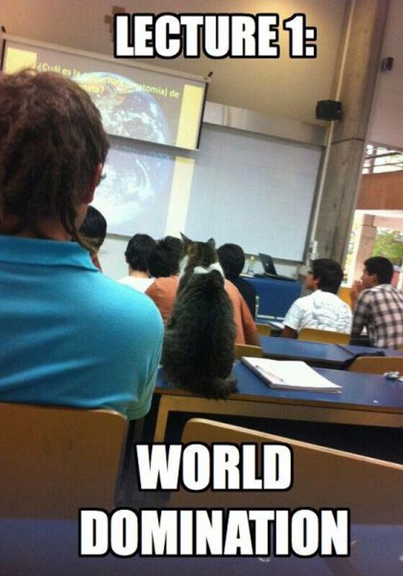 funny-pictures-666