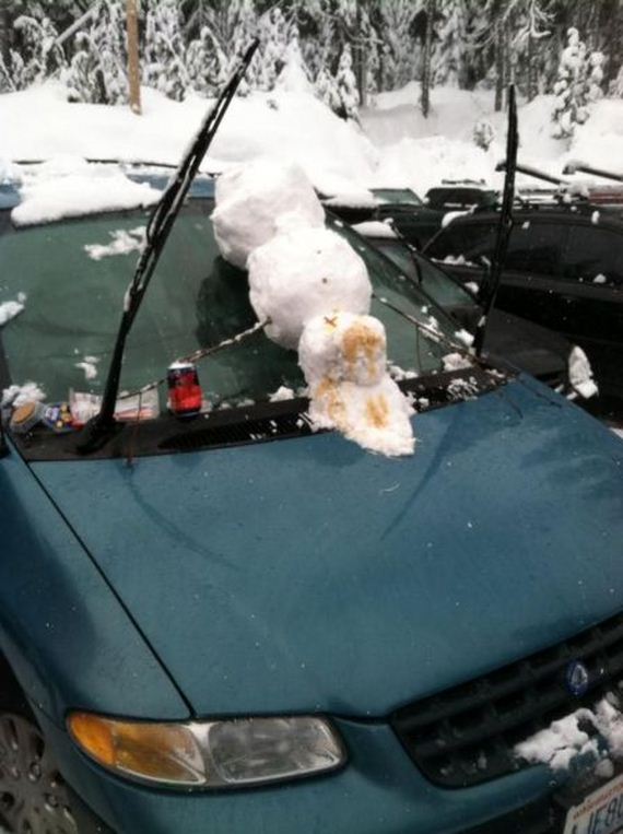 funny-pictures-667