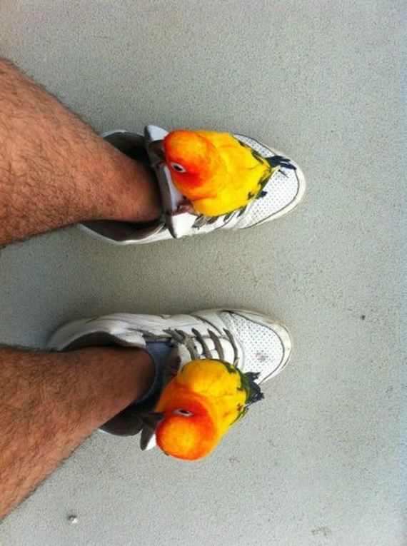 funny-pictures-667