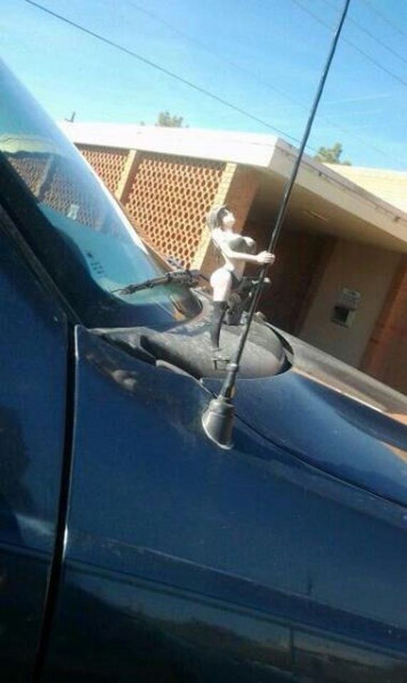 funny-pictures-667