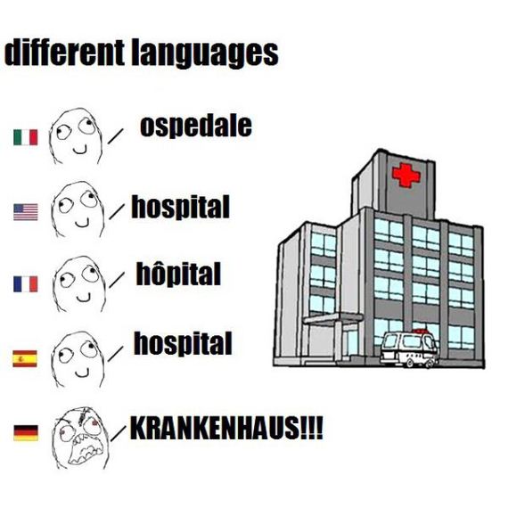 funny-pictures-667