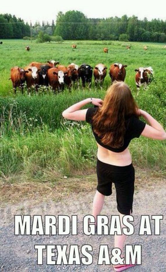funny-pictures-667