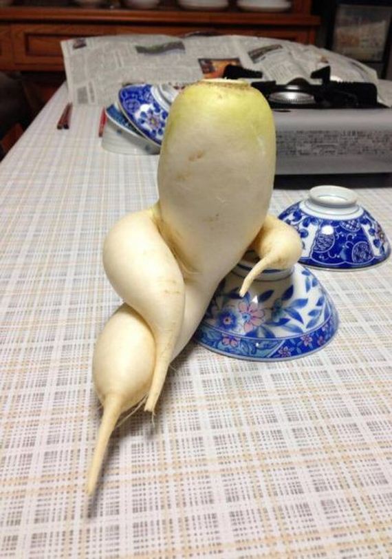 funny-pictures-667
