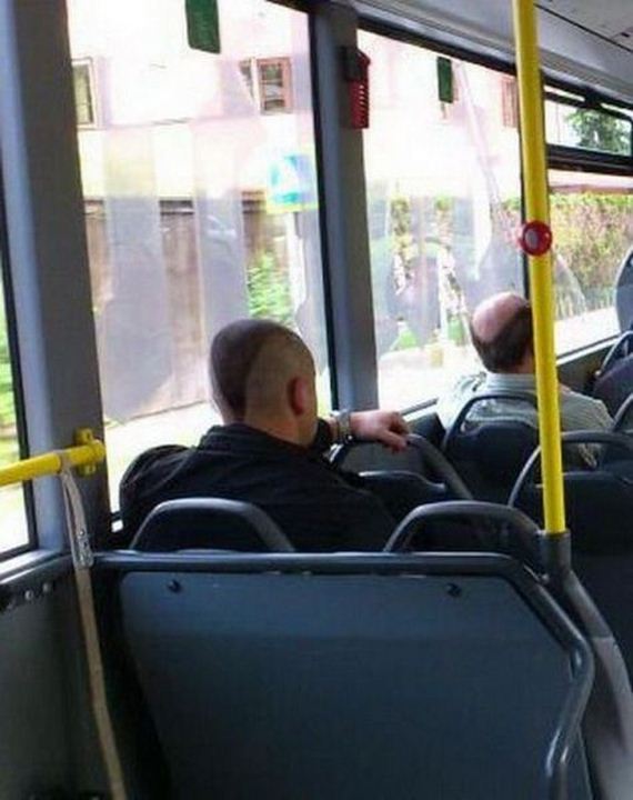 funny-pictures-668