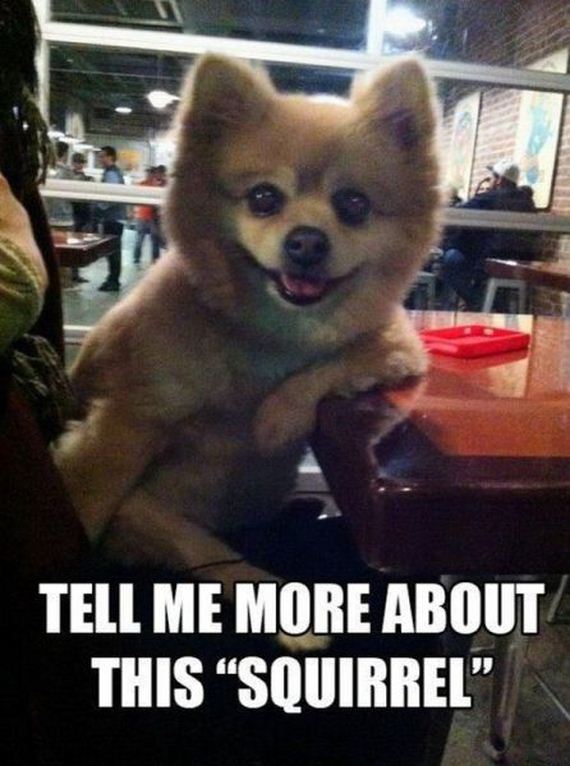 funny-pictures-668