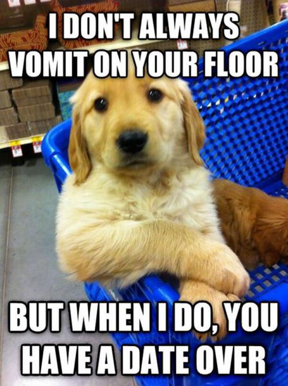 funny-pictures-668
