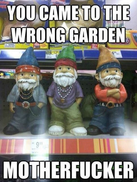 funny-pictures-668