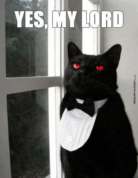 funny-pictures-670