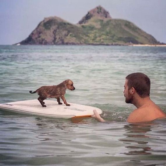 funny-pictures-670