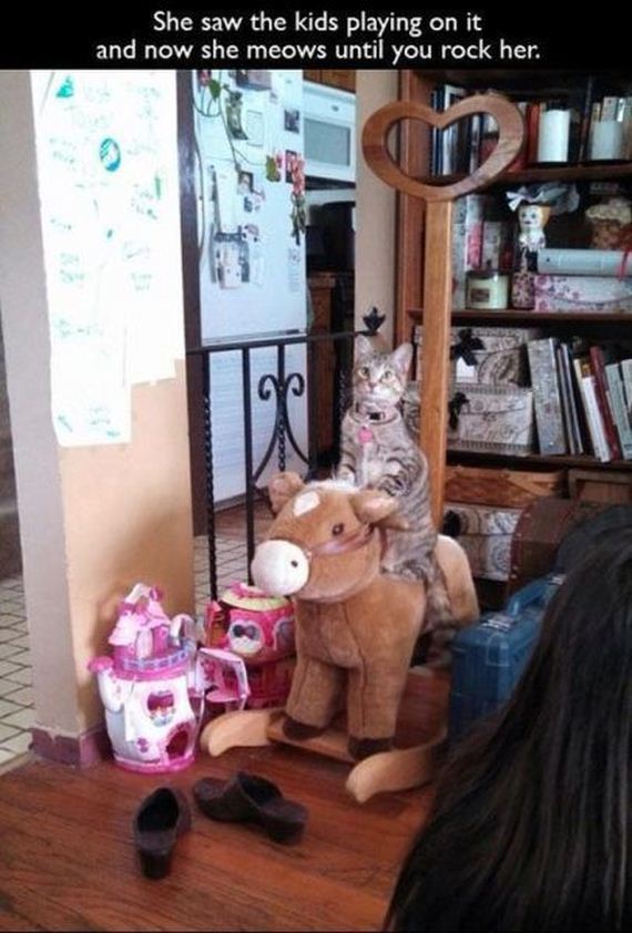 funny-pictures-670