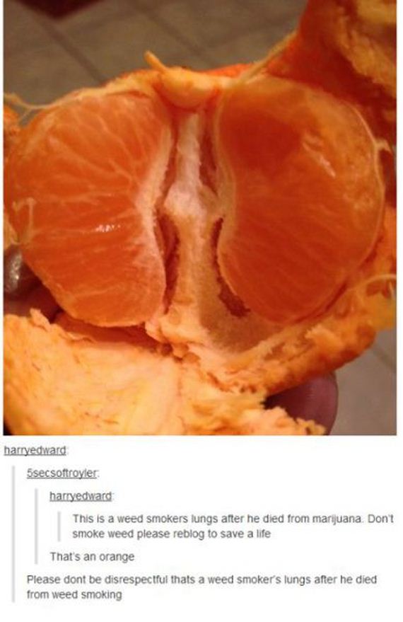 funny-pictures-672