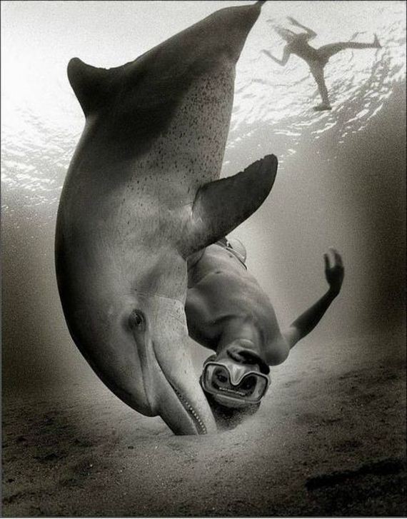 funny-pictures-672