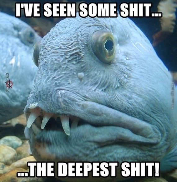 funny-pictures-672