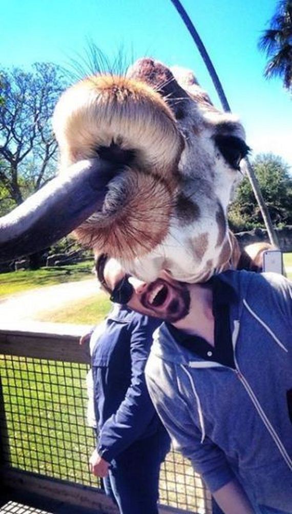 funny-pictures-673