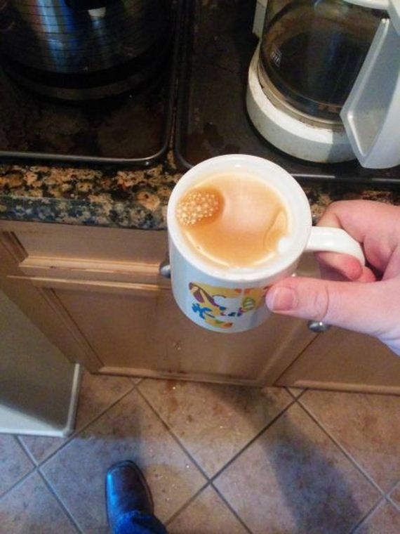 funny-pictures-673