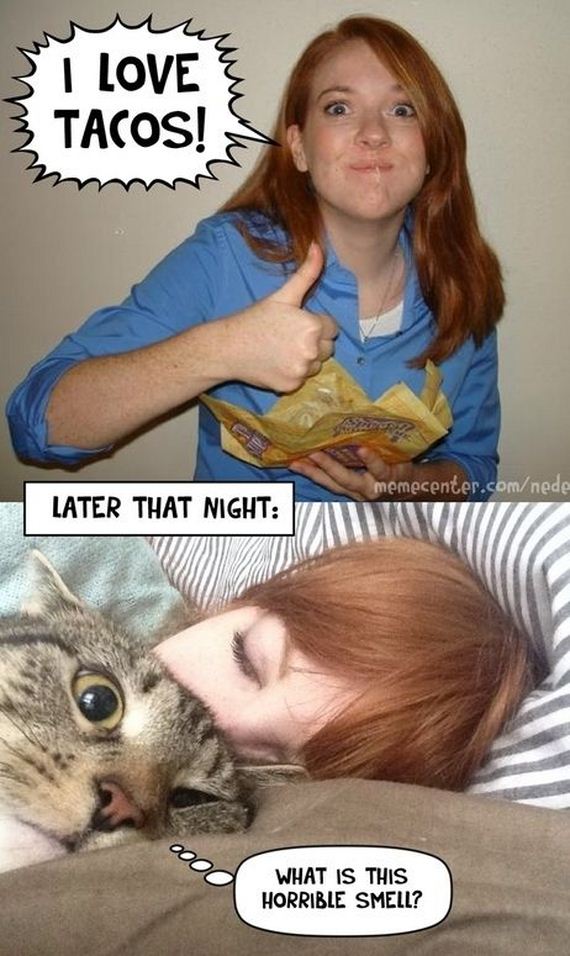 funny-pictures-674