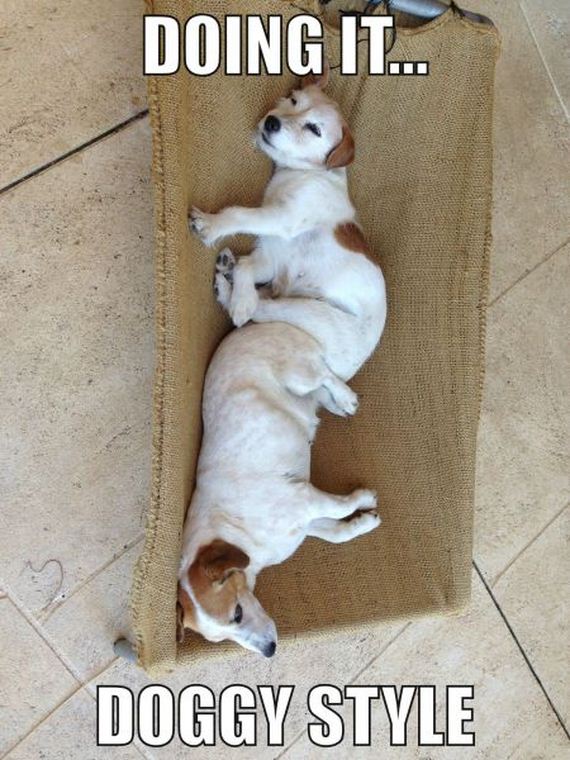 funny-pictures-675