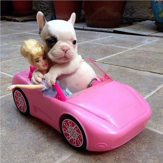 funny-pictures-676
