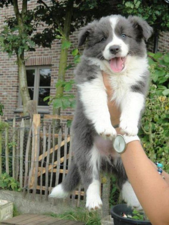 funny-pictures-676
