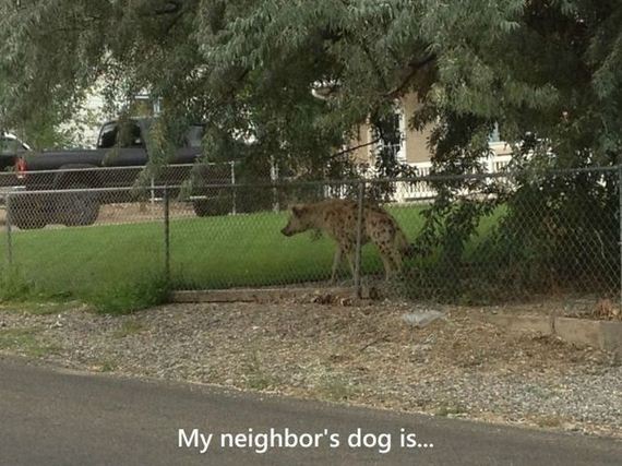 funny-pictures-678