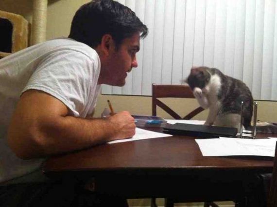 funny-pictures-678