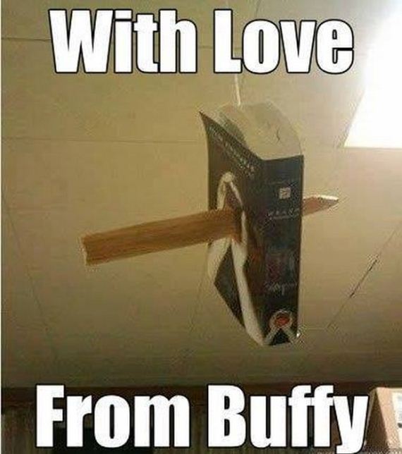 funny-pictures-678