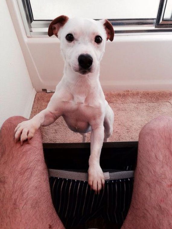 funny-pictures-678