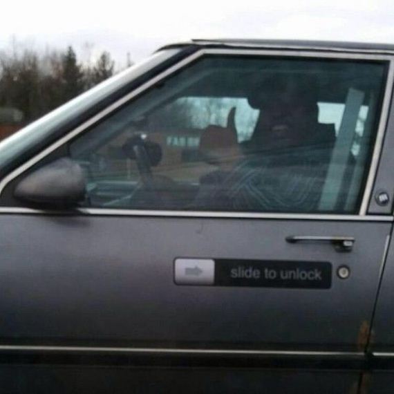 funny-pictures-678