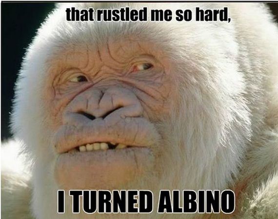 funny-pictures-679
