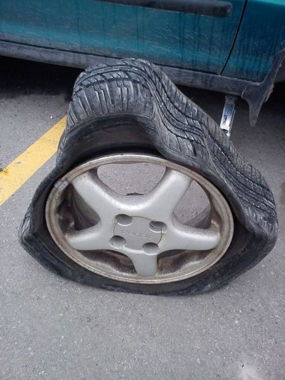 funny-pictures-679