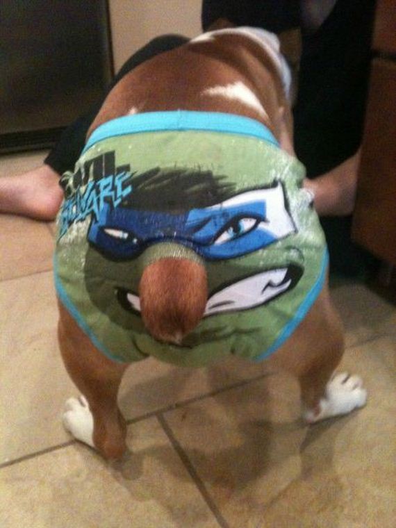 funny-pictures-679