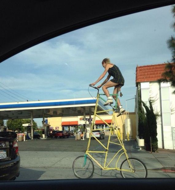 funny-pictures-679