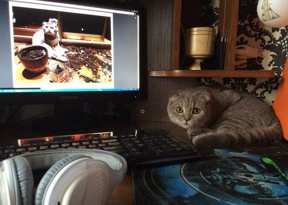 funny-pictures-680
