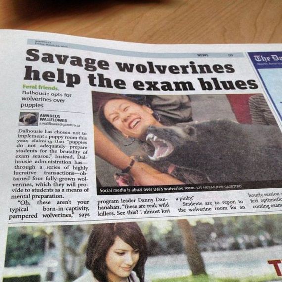 funny-pictures-680