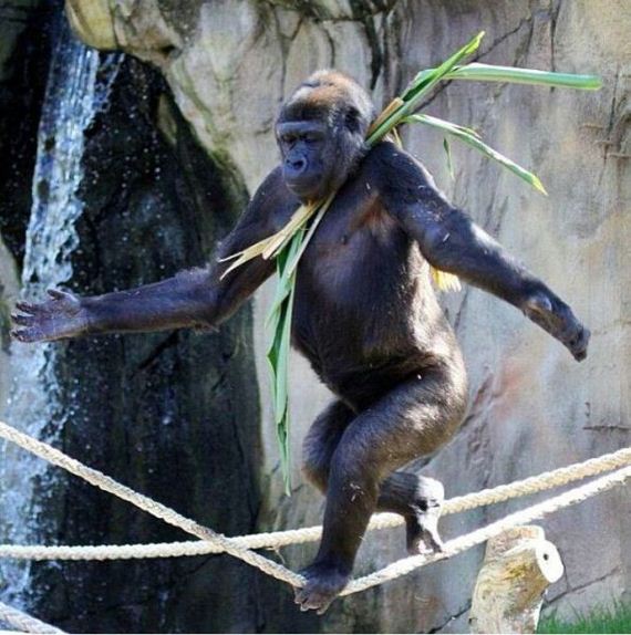 funny-pictures-681
