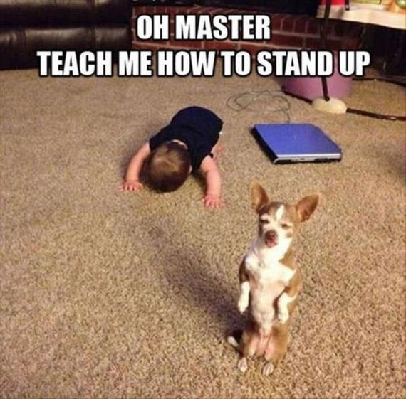 funny-pictures-681