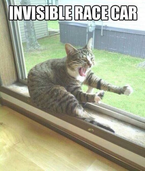 funny-pictures-681