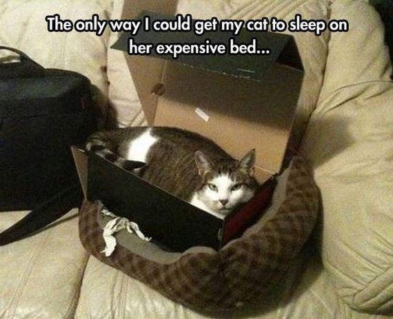 funny-pictures-681