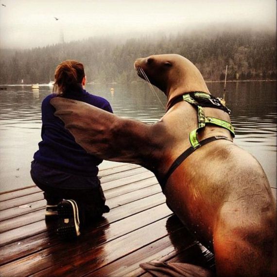 funny-pictures-682