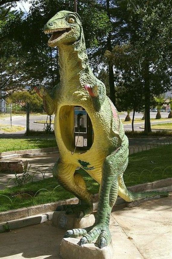 funny-pictures-682