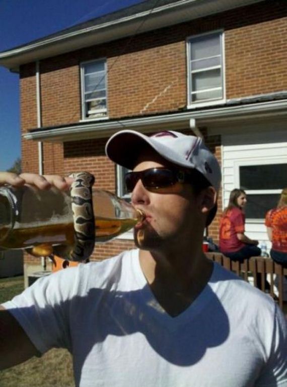 funny-pictures-682