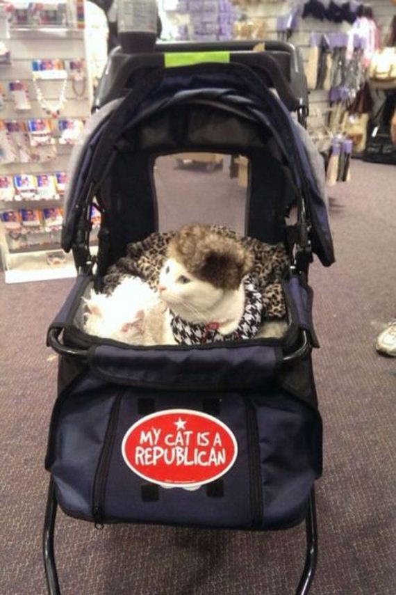 funny-pictures-685
