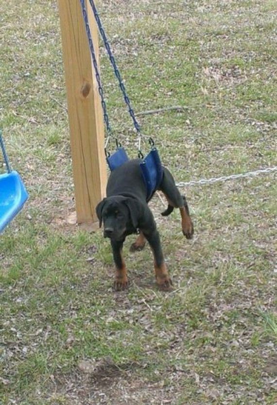 funny-pictures-685