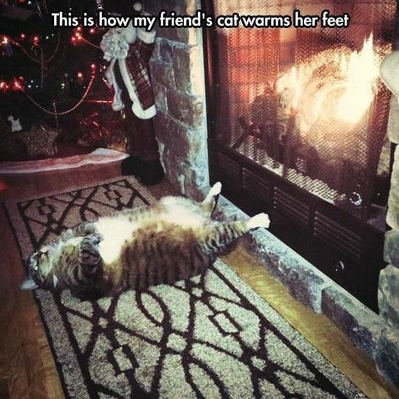 funny-pictures-685