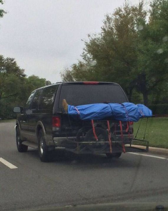 funny-pictures-685