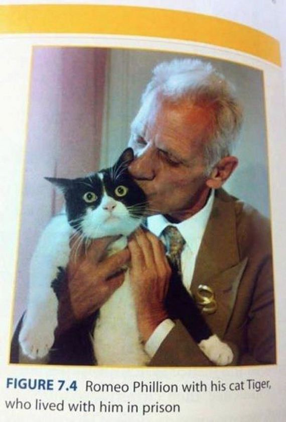funny-pictures-686