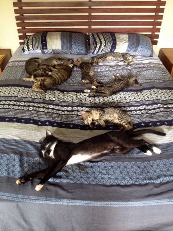 funny-pictures-686