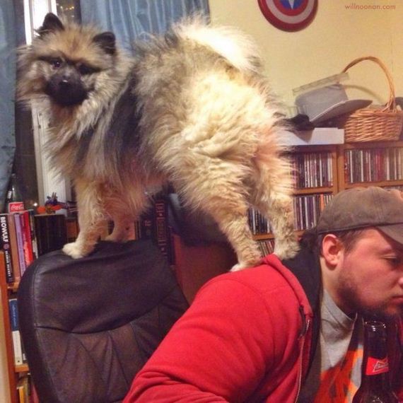 funny-pictures-686