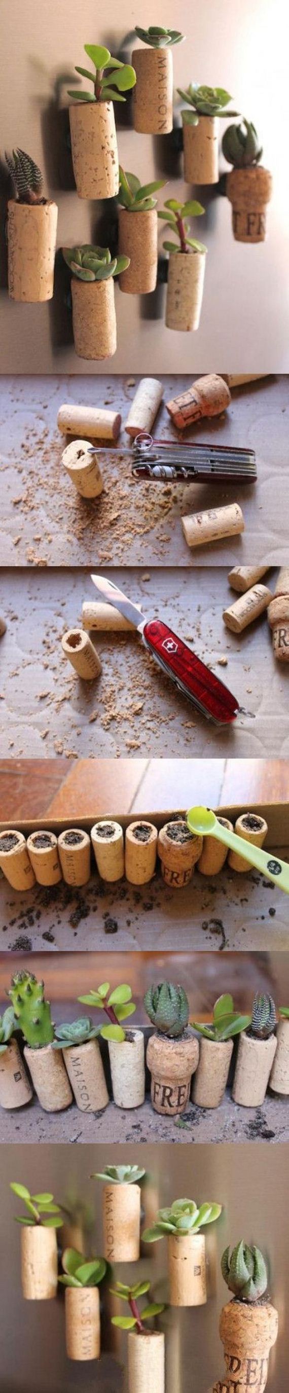 funny-pictures-688